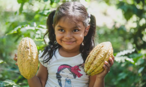 small girl from Nicaragua holding cocoa pods